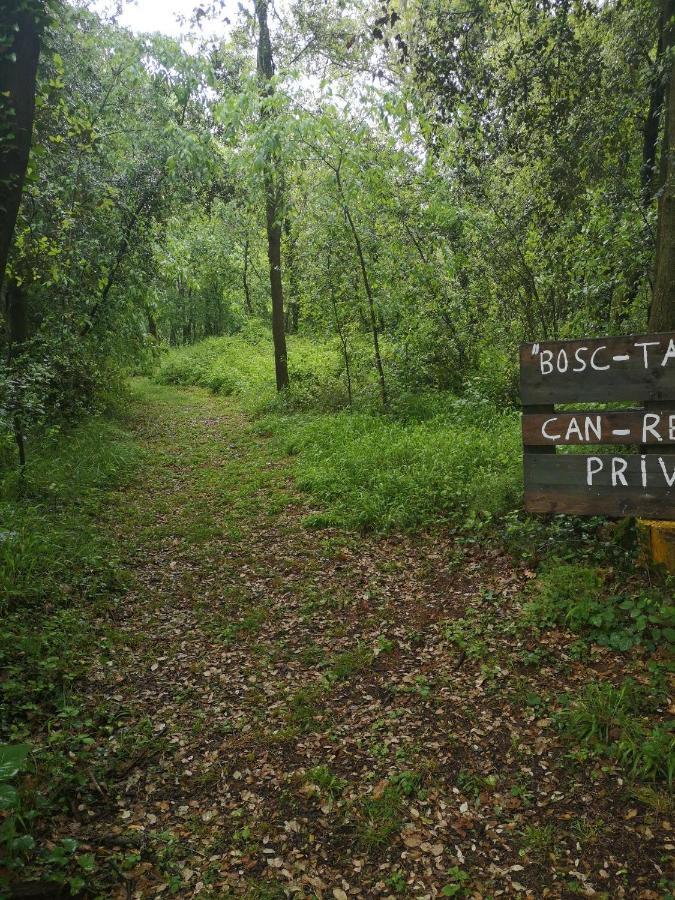 Can Resiu Seriñá Esterno foto